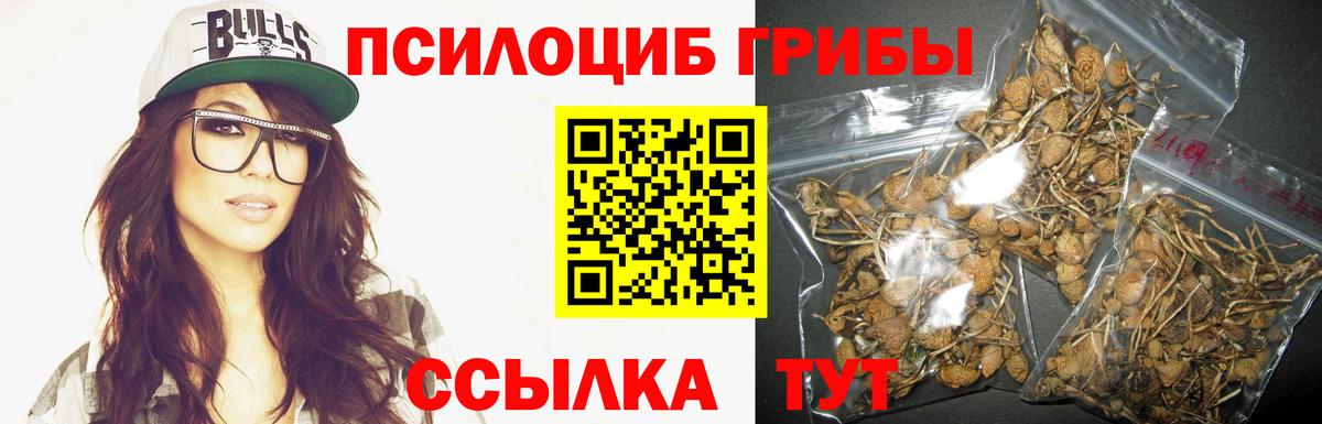 Галлюциногенные грибы GOLDEN TEACHER Коломна